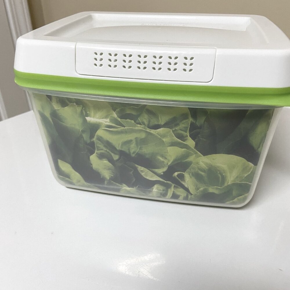 Rubbermaid Fresh Works Producer Saver With Fresh Vent Technology Large 17.3 Cups